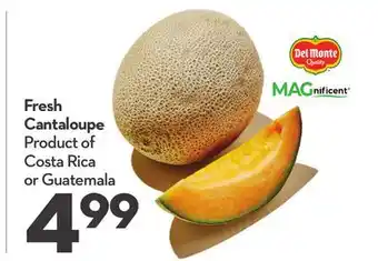 Longo's Fresh Cantaloupe offer