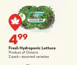 Longo's Fresh Hydroponic Lettuce offer