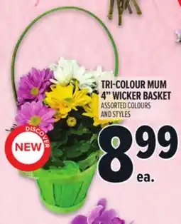 Metro TRI-COLOUR MUM 4 WICKER BASKET offer