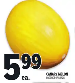 Metro CANARY MELON offer