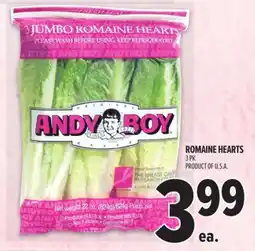 Metro ANDY BOY ROMAINE HEARTS offer