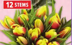 Metro FRESH CUT TULIPS offer