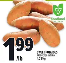 Metro SWEET POTATOES offer