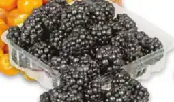 Metro BLACKBERRIES offer