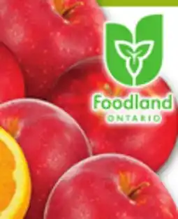 Metro LARGE SEEDLESS NAVEL ORANGES offer