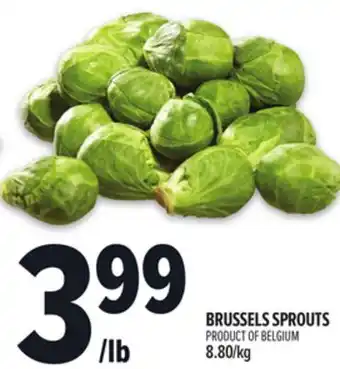 Metro BRUSSELS SPROUTS offer