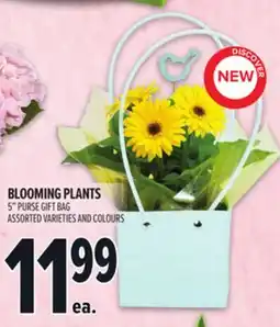 Metro BLOOMING PLANTS offer