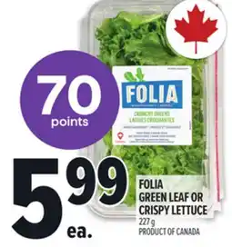 Metro FOLIA GREEN LEAF OR CRISPY LETTUCE offer