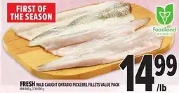 Metro FRESH WILD CAUGHT ONTARIO PICKEREL FILLETS VALUE PACK offer