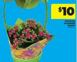 Real Canadian Superstore ASSORTED BLOOMING BASKET offer