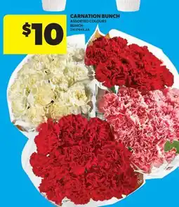 Real Canadian Superstore CARNATION BUNCH offer