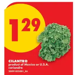 No Frills CILANTRO offer