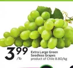Sobeys Extra Large Green Seedless Grapes offer