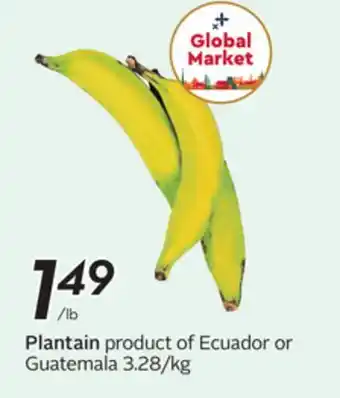 Sobeys Plantain offer