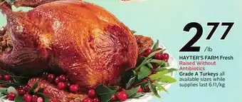 Sobeys HAYTER'S FARM Fresh Raised Without Antibiotics Grade A Turkeys offer