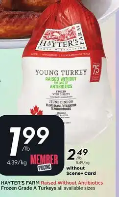 Sobeys HAYTER'S FARM Raised Without Antibiotics Frozen Grade A Turkeys offer