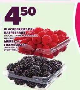 Independent Grocer BLACKBERRIES OR RASPBERRIES offer