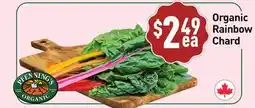 Healthy Planet Organic Rainbow Chard offer