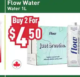 Healthy Planet Flow Water Water offer