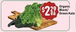Healthy Planet Organic Black/ Green Kale offer
