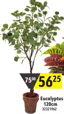 Sushi Shop Artificial Plants Assortment offer