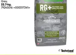 RONA TECHNISEAL RG+ Polymer Sand 22.7-kg offer
