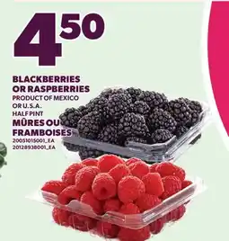 Valu-mart MÛRES OU FRAMBOISES, 1/2 PINTE offer
