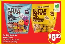 FreshCo The Little Potato Co. Mini Potatoes 3 lb Product of Ontario Canada No. 1 offer