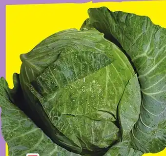 FreshCo Green Cabbage offer