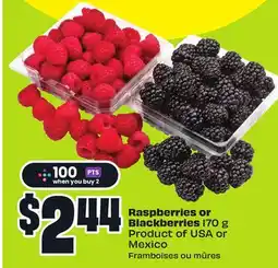 FreshCo Raspberries or Blackberries 170 g Product of USA or Mexico offer