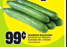 FreshCo Seedless Cucumber Product of Ontario Canada No. 1 Grade offer