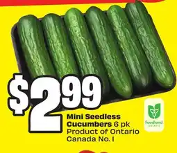 FreshCo Mini Seedless Cucumbers 6 pk Product of Ontario Canada No. 1 offer