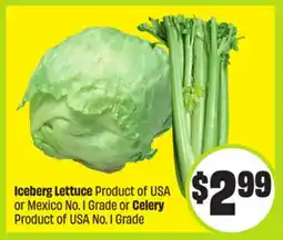 FreshCo Iceberg Lettuce Product of USA or Mexico No. 1 Grade or Celery Product of USA No. 1 Grade offer