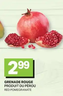 L'Intermarché GRENADE ROUGE | RED POMEGRANATE offer