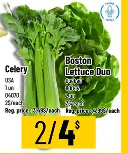 Mayrand Celery or Boston Lettuce offer