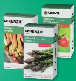 Canac Jersey Giant Asparagus 5plants offer