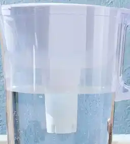 Walmart Pichet Brita offer