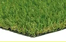 RONA Grass rug offer