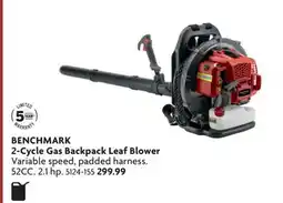 Home Hardware 2-Cycle Gas Backpack Leaf Blower offer