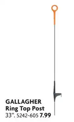 Home Hardware Ring Top Post offer