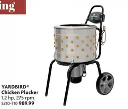 Home Hardware Chicken Plucker offer