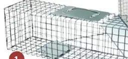 Home Hardware Live Animal Trap offer