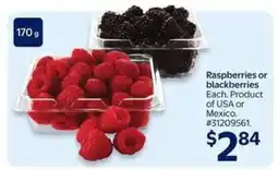 Walmart RASPBERRIES OR BLACKBERRIES offer
