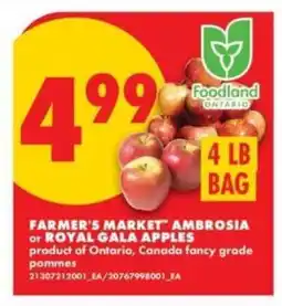 No Frills Farmer's Market Ambrosia or Royal Gala Apples offer