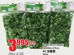 Btrust Supermarket AFRICAN'S CHOICE Feuilles d'Eau offer