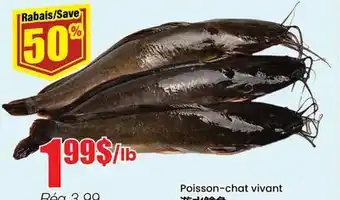 Btrust Supermarket Poisson-chat vivant offer