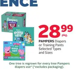 Rexall PAMPERS Diapers or Training Pants offer