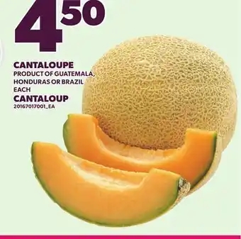 Independent City Market CANTALOUPE offer