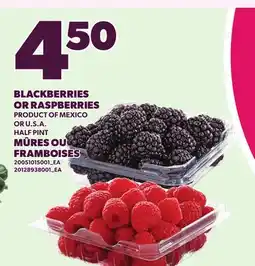 Independent City Market BLACKBERRIES OR RASPBERRIES, HALF PINT offer