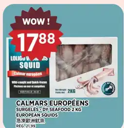 Kim Phat DY SEAFOOD EUROPEAN SQUIDS offer